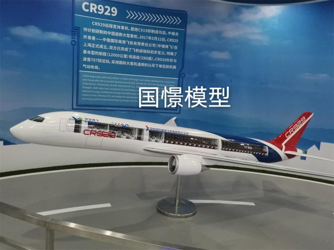 九龙县飞机模型