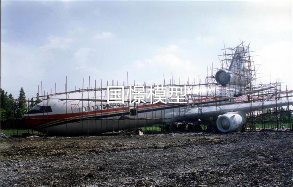 九龙县飞机模型
